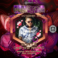Purple Haze Promo Mix - Bortz