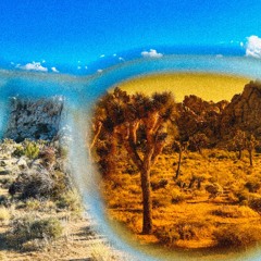 Awareness is a Curse