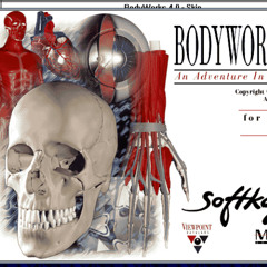 Body Works 4.0 Complete Soundtrack