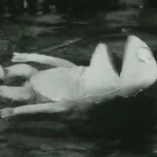 Wilkins Tea - Pool