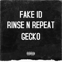 Fake ID X Rinse N Repeat X Gecko (TikTok)