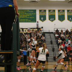 Stella Frisbee Playoff Preview