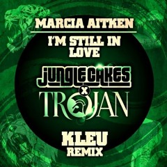I'm Still In Love With You (Kleu Remix)