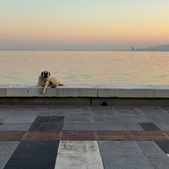 frank...