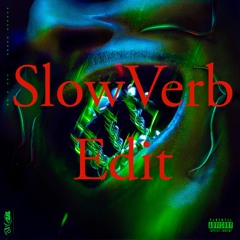 22 - LOGICIEL TRISTE ( SlowVerb Edit )