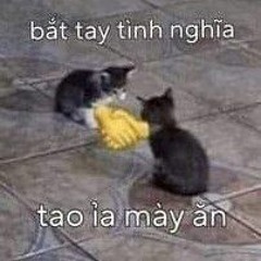 Người Việt Thích Bay ✈️✈️
