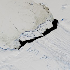 Polynya