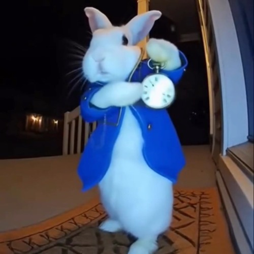 Time is running out Girlfriends - New Computers (hood trap)