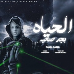 أغنيه الحياه بجد صعبة ( بزعل انا لما يجى عليا ليلى ) - طارق سعيد - توزيع سمسم مزيكا | مهرجانات 2025