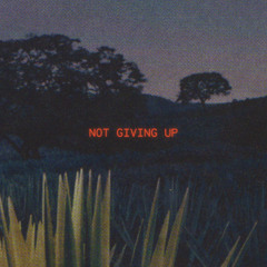 Not Giving Up