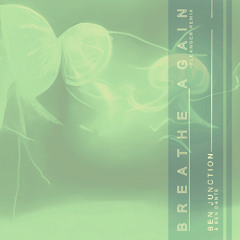 Ben Junction, Ben Dante - Breathe Again (Fleanger Remix)