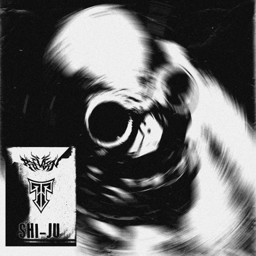 RAIDXN x t² - SHI-JU