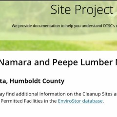 Mcnamara And Peepe Site Cleanup Progress Is Slow But Continuing