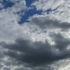 Wrong Places (prod. OPHELIA DIES)