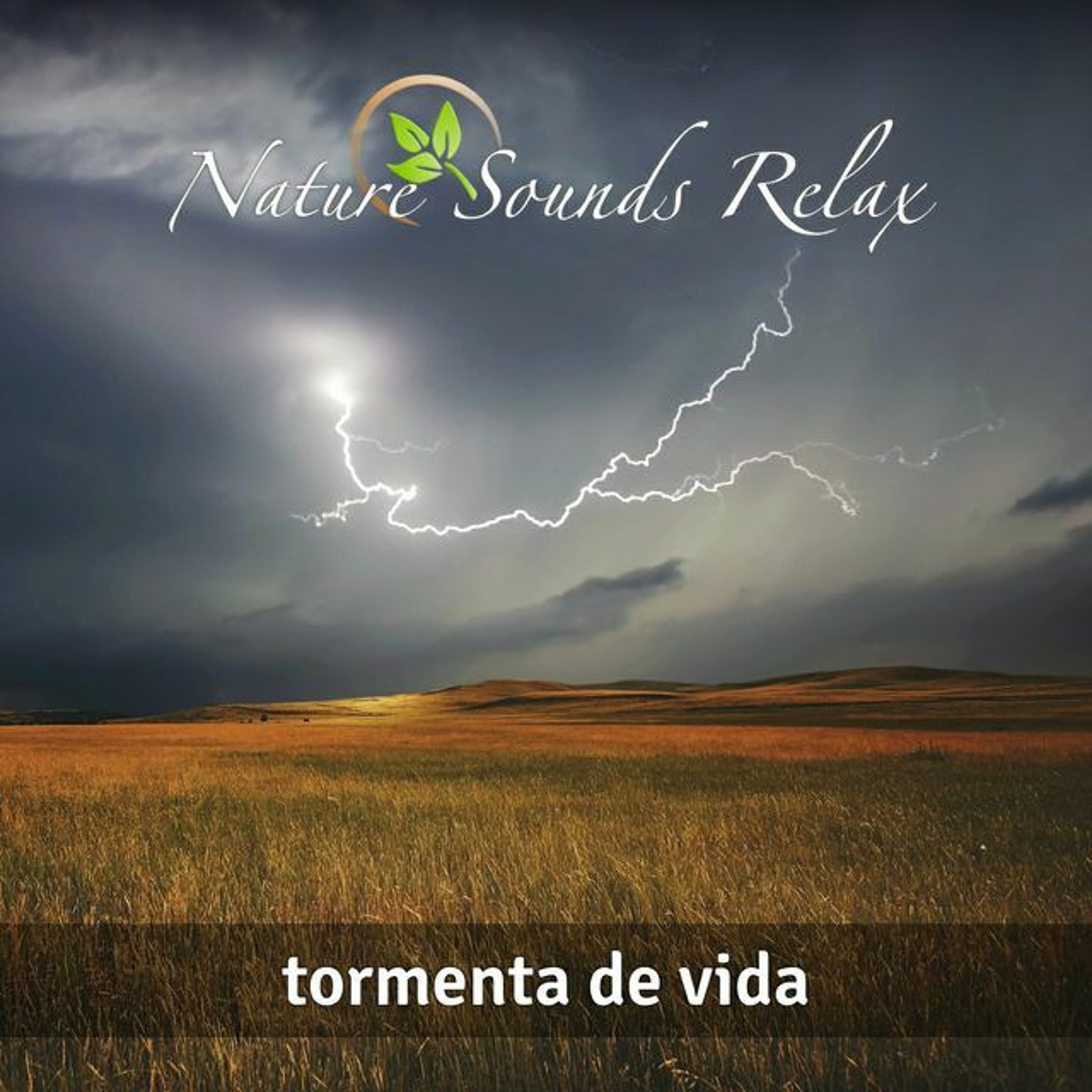 Sonidos Saludables