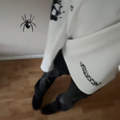 🕷️