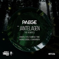 Paege - Jantelagen - The Remixes (IBT036)