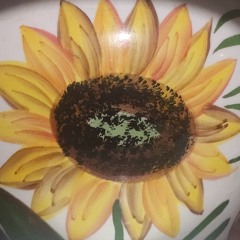 Yomel El Meloso - Vagamunda