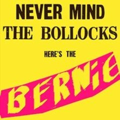 Nevermind The Bollocks Here's Bernie
