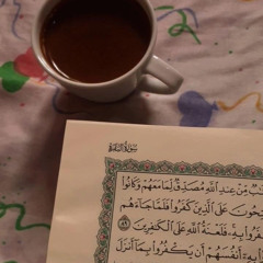 وَأَلْقَوْا إِلَى اللَّهِ يَوْمَئِذٍ السَّلَمَ | رعد الكردي