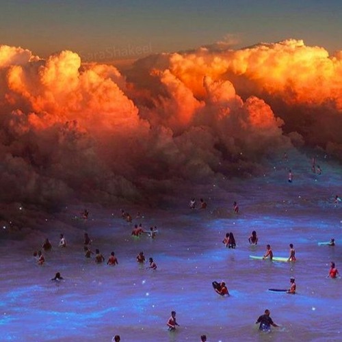 Lucki - Sheesh ft. Glokk 40 (Produced with Flavor)