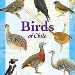 download EPUB 📌 Birds of Chile (Princeton Field Guides, 28) by  Alvaro Jaramillo,Pet