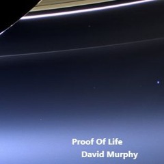 Proof of Life (2025)