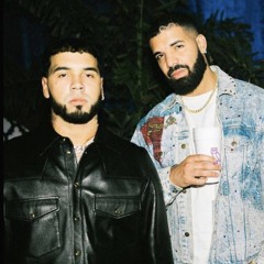Organization - Anuel AA x Drake