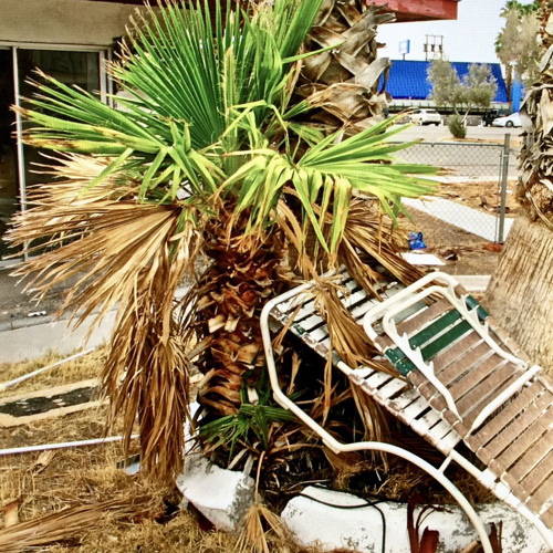 Broken Paradise