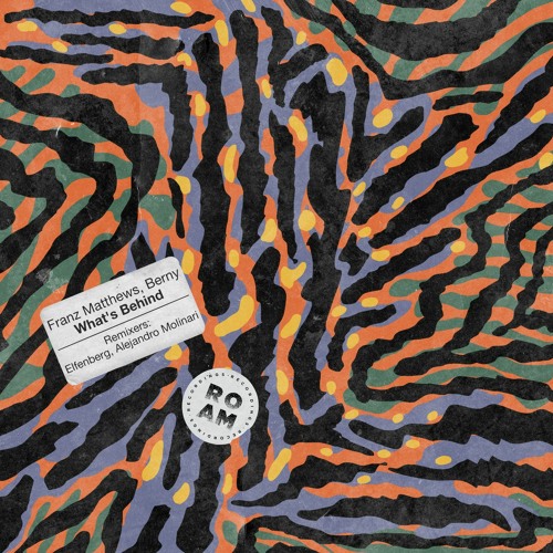 PREMIERE - Franz Matthews, Berny - What's Behind (Elfenberg Remix) (Roam Recordings)