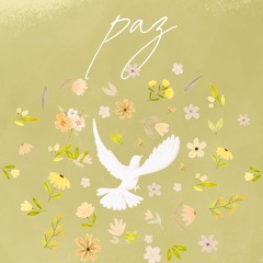 🕊️ PAZ ⎮Stezy Zimmer