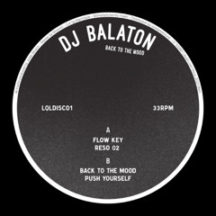 PREMIERE: DJ Balaton - Back To The Mood [LQLDISC01]