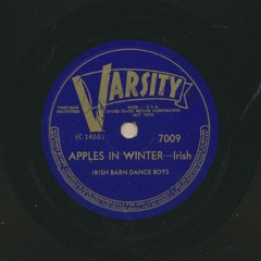 Irish Barn Dance Boys (Paddy Killoran's Pride of Erin Orchestra): Apples in Winter (jigs)