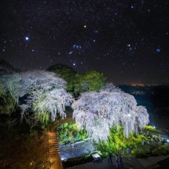 Lostboivonte* + Dequiviante ~ Haystack (prod. GLOmeo)