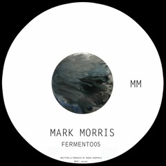 Mark Morris - Fermento05 (Original Mix)