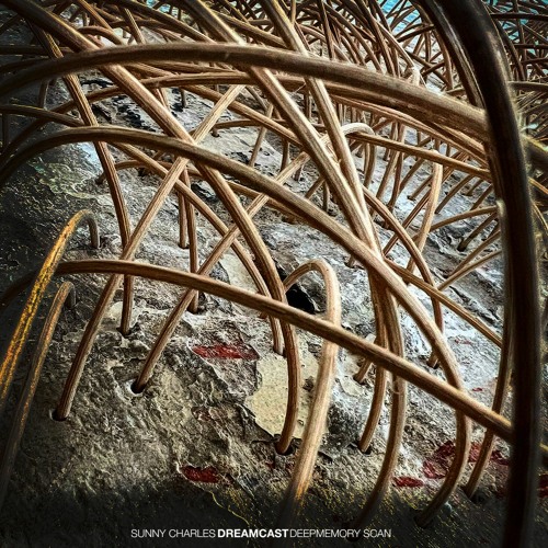 #102 Sunny Charles - Deepmemory Scan