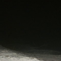 Arctic Blur