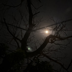 d6769a57-4f52-4d22-9a15-e06d28db814b.mp3