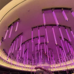 no talkin feat hardrock (mackdisyoufoo)