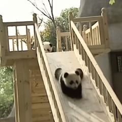 moodybluezzzz - panda [prod. Ketaminedream117]