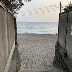 HONEY MOON(Hosono Haruomi cover)