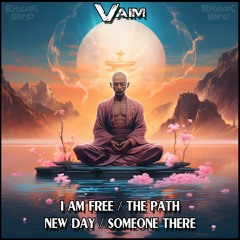BWP078 : Vaim - Someone There