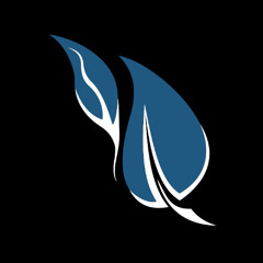 Illumin8 & Zunsjine - Rollerbabe Birthday Bash -  Lifted Label twitch channel - July 2025