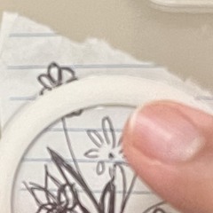 ludwig flip / stung flip