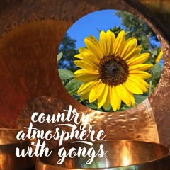 Adam Lis Country Atmosphere With Gongs