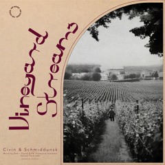Vineyard Streams [EP] w/ Schmiddunsk