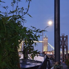 Morning harpsichord — Bach #1