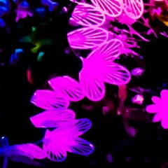 Could Be (Everything)