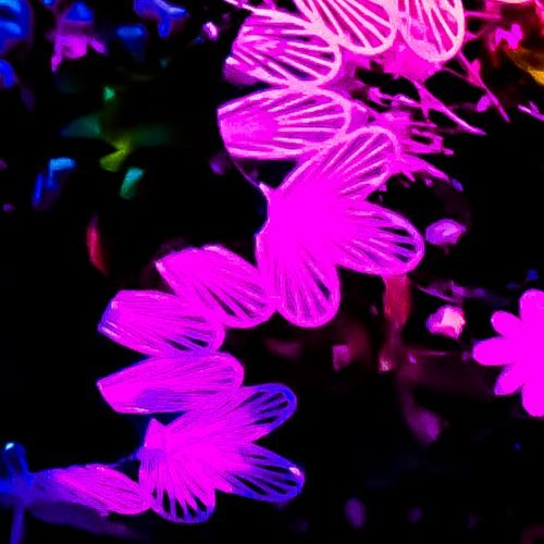 Could Be (Everything)