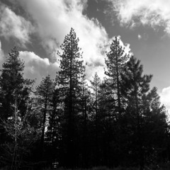 i could sleep through this